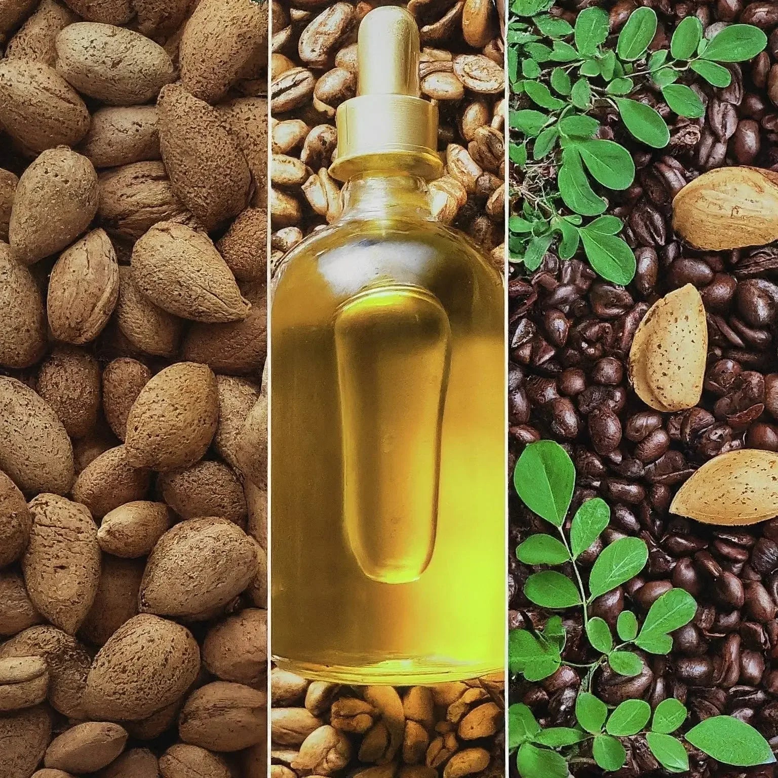 Cafecito Eye Elixir with Caffeine - Plush Fashion Hub