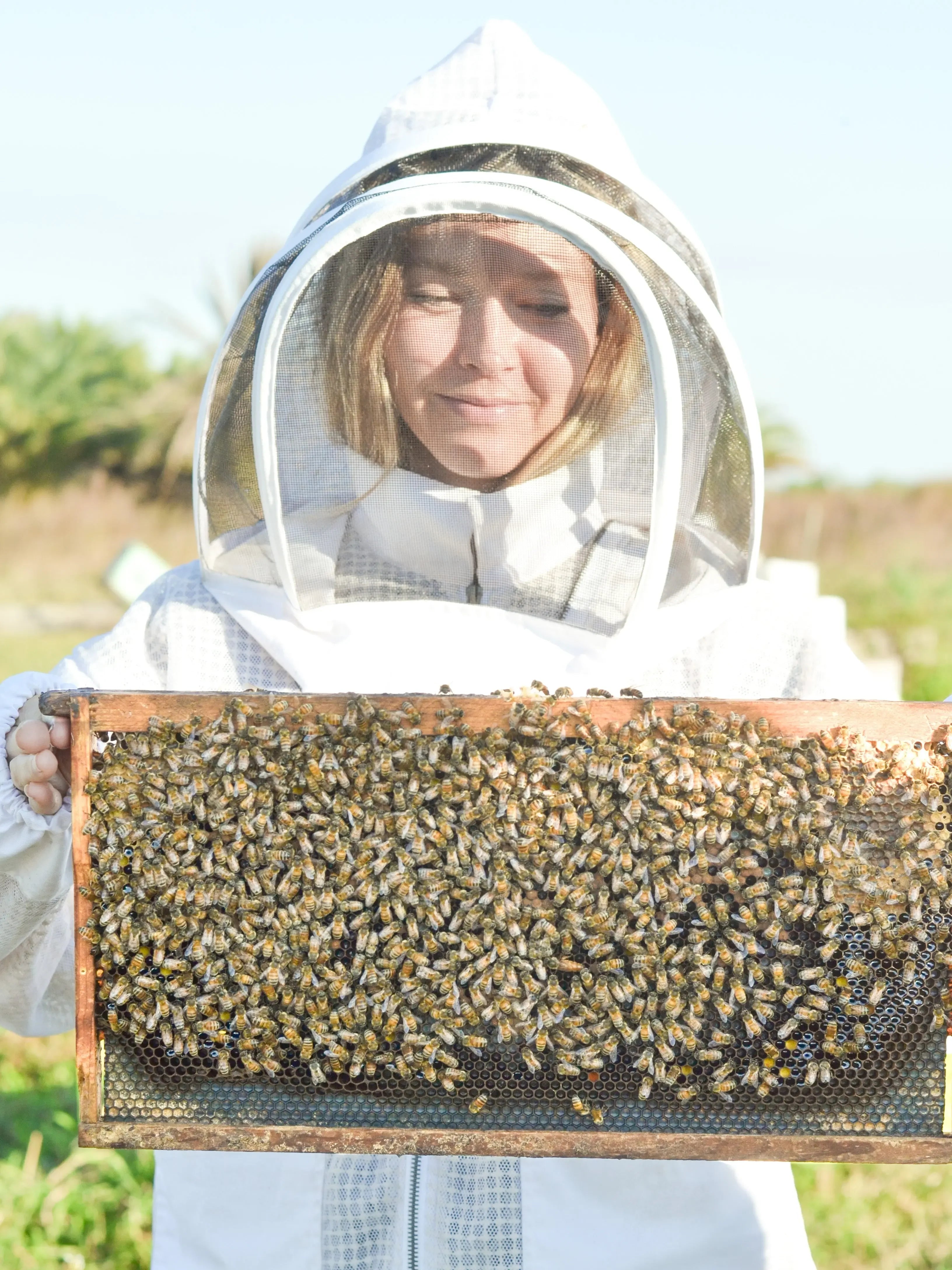 Soft + Gentle Buttermilk Soap Made for Sensitive Skin Fragrance Free Handmade Tallow and Goat Milk Soap Bar - Plush Fashion Hub