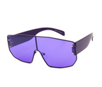 Unisex Trendy Metal Frame Sunglasses - Style 0605 The House of Stylez