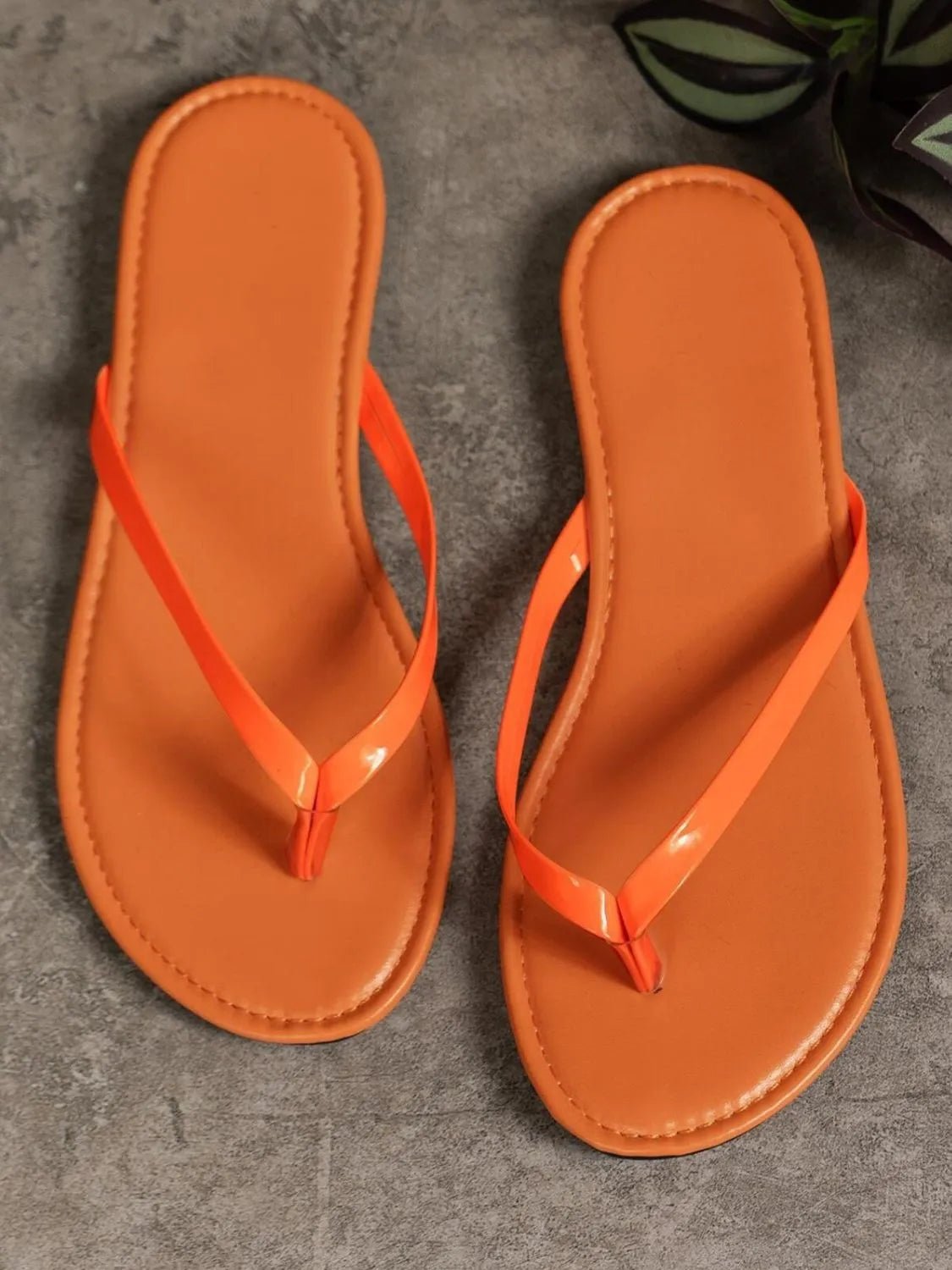 Toe Post Flat Sandals - Plush Fashion Hub